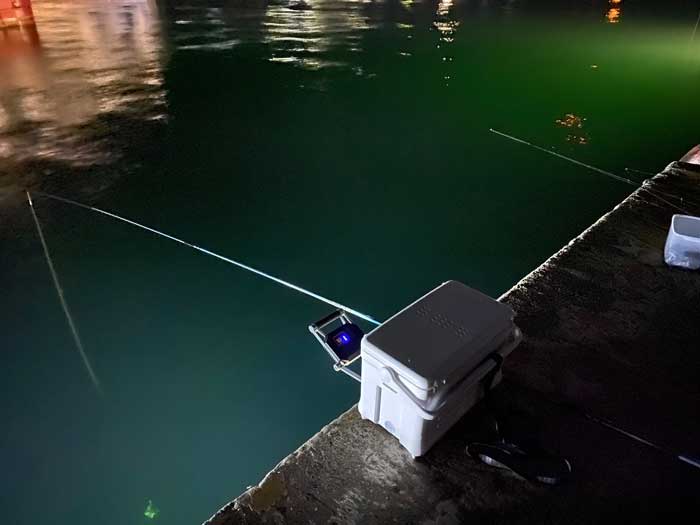 ヒイカの釣り方 餌でもルアーでも簡単に釣れます