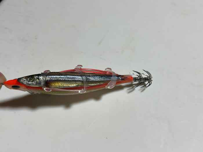 鳥取 コウイカ釣りに最強エギーノもぐもぐサーチを使ってみる ２０２２ １