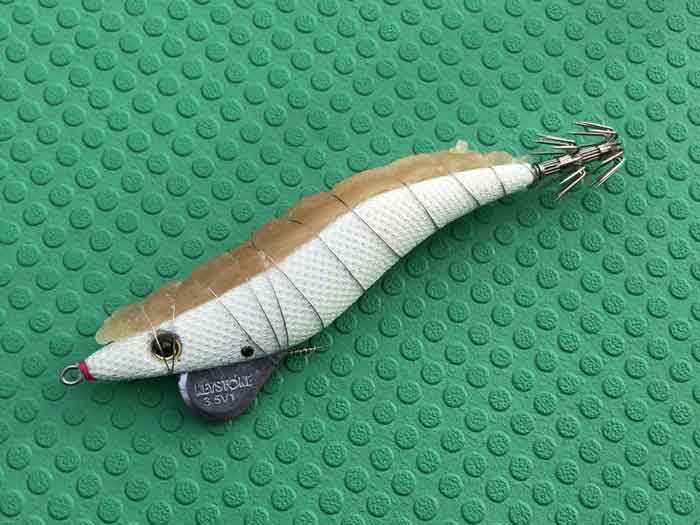 鳥取 コウイカ釣りに最強エギーノもぐもぐサーチを使ってみる ２０２２ １