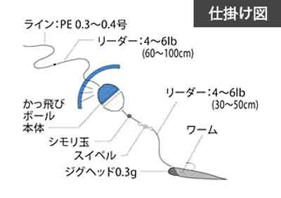 メバリング フロートリグの釣り方解説 ぶっ飛びロッカー かっ飛びボール編