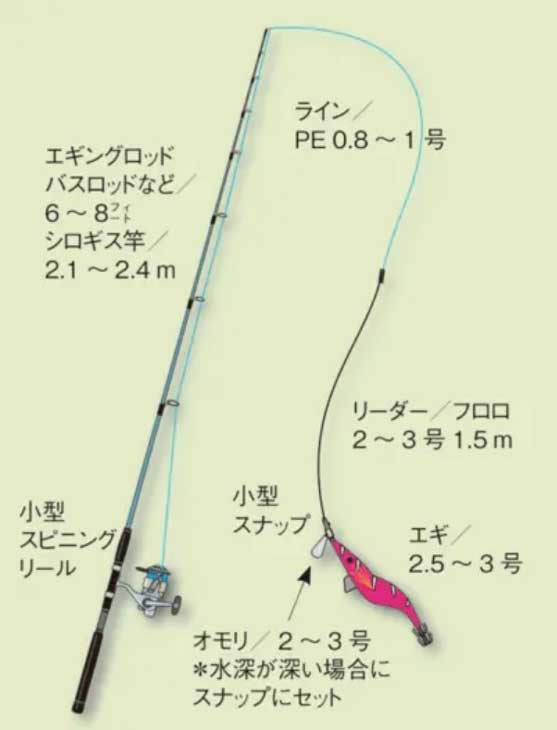 コウイカエギングの釣り方｜タックルと仕掛けとアクションを解説！ 