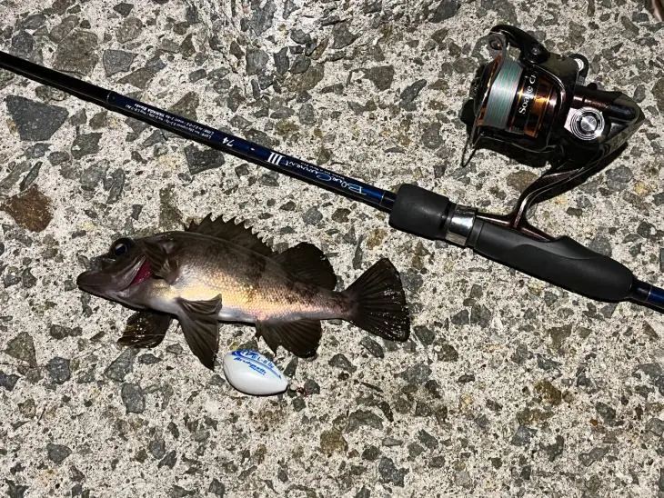 がまかつ ラグゼ 宵姫 華弐 8F S80MH-solid かき混ぜ 釣竿
