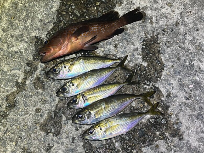 圧倒的釣果主義】wspトルネード 数釣り最強！形状記憶 定番カラー 
