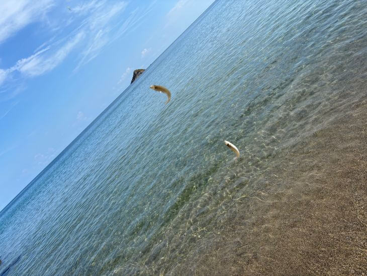 キス