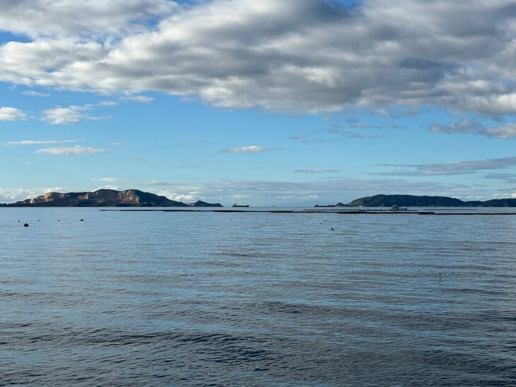 海