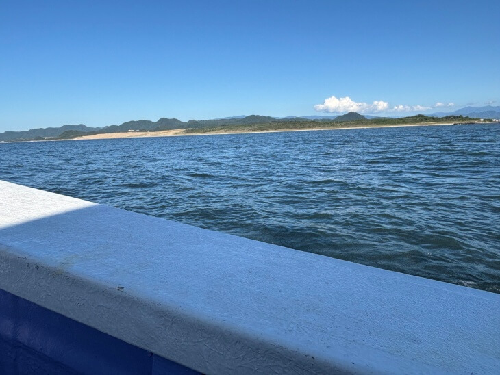 海