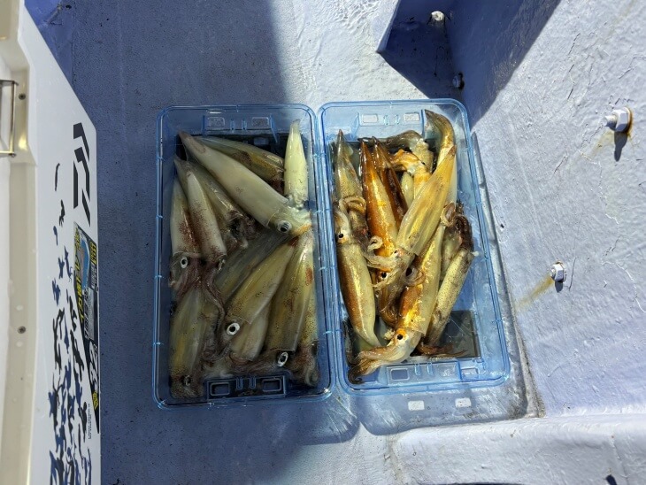 釣果