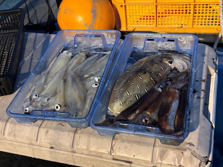 釣果