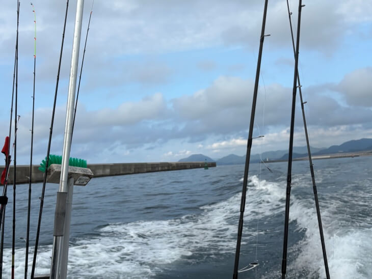 海