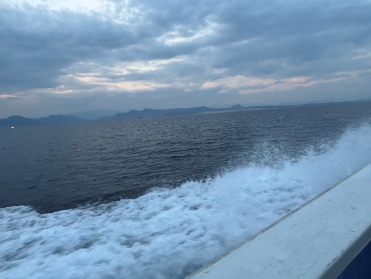 海