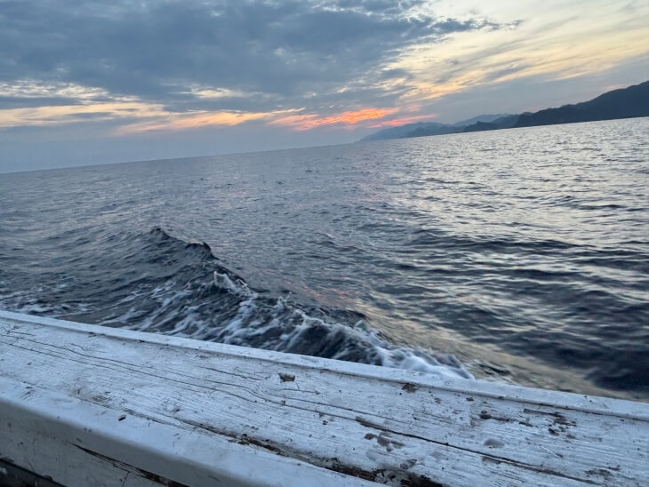 海