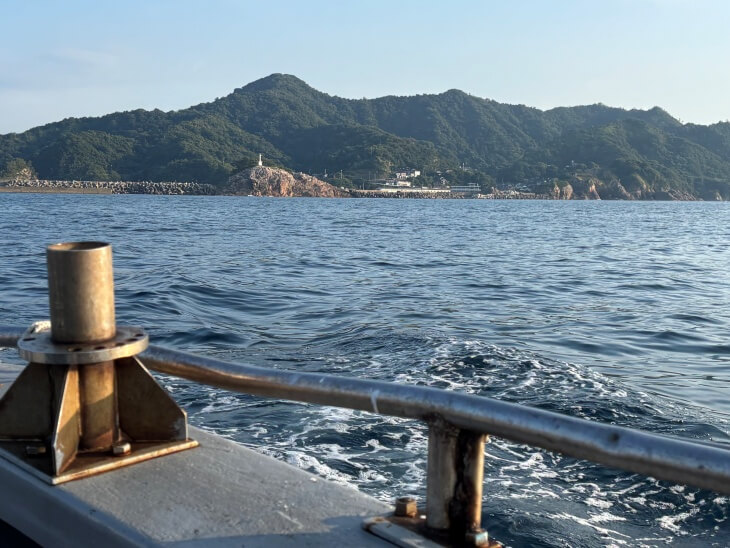 海