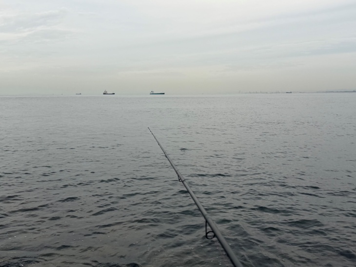 海